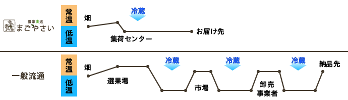 配送スケジュール