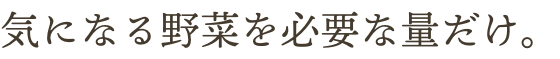 気になる野菜をいつ様な量だけ。