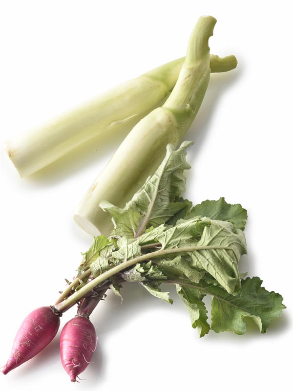 白ゴーヤと紅くるり大根