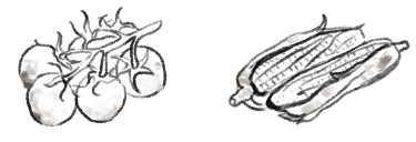 トマトともろこしのイラスト