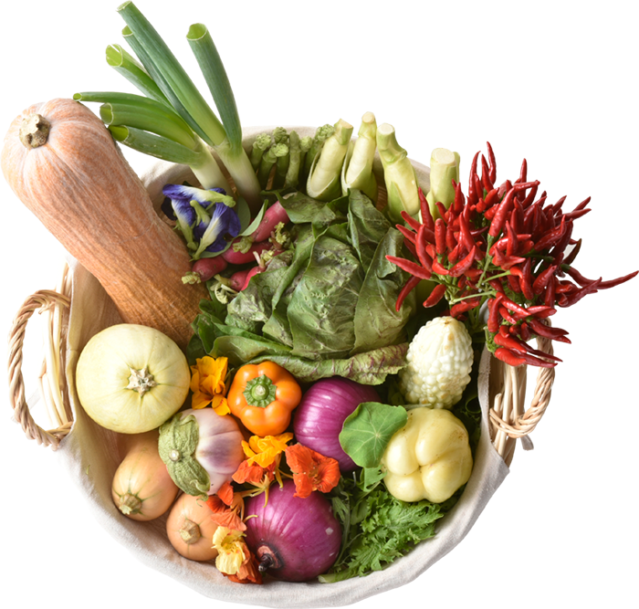 採れたて野菜大集合